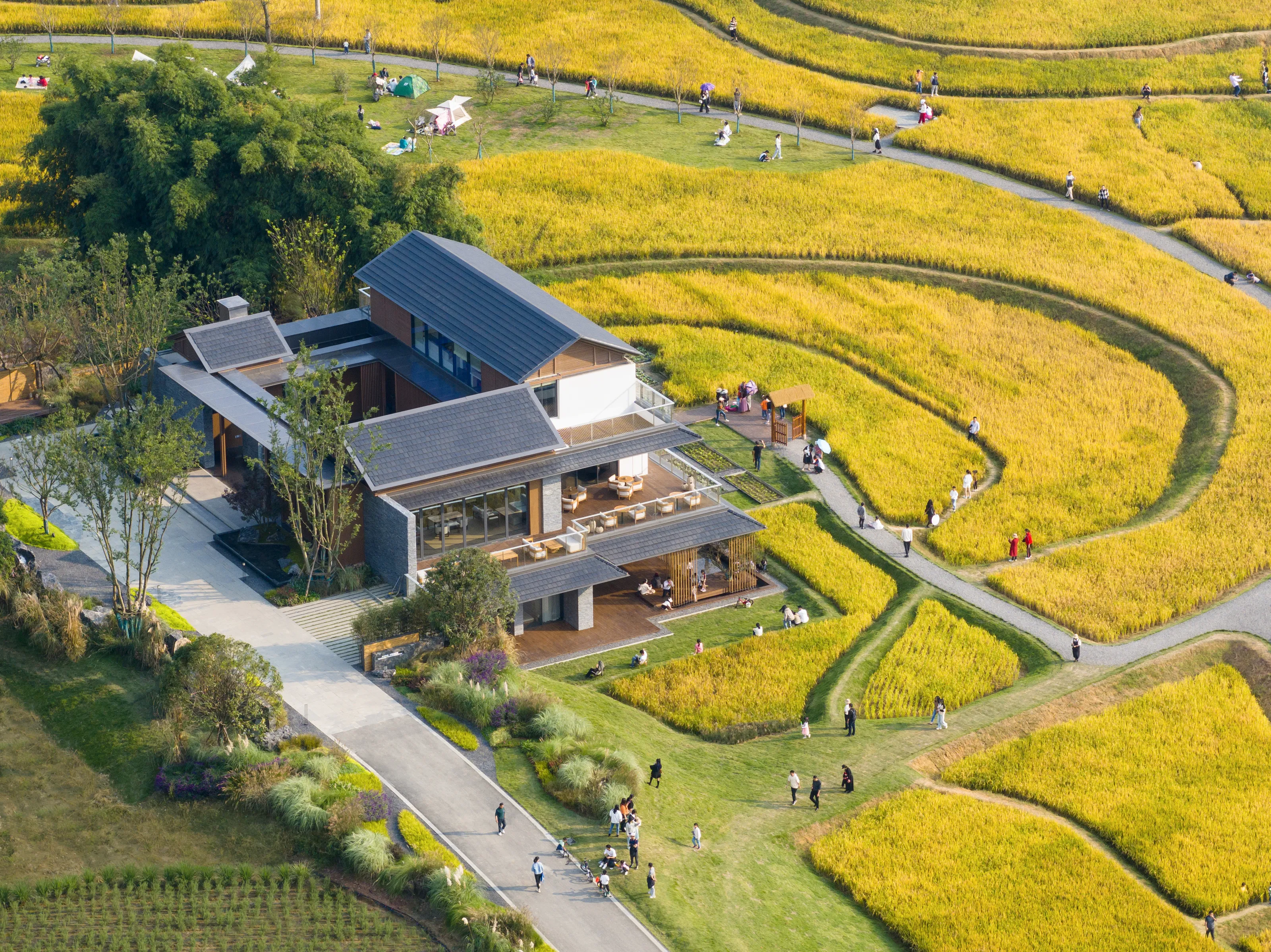 DJI_20231020142320_0154_D 拷贝.jpg